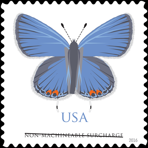 insects,