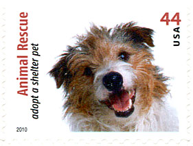 dogs,